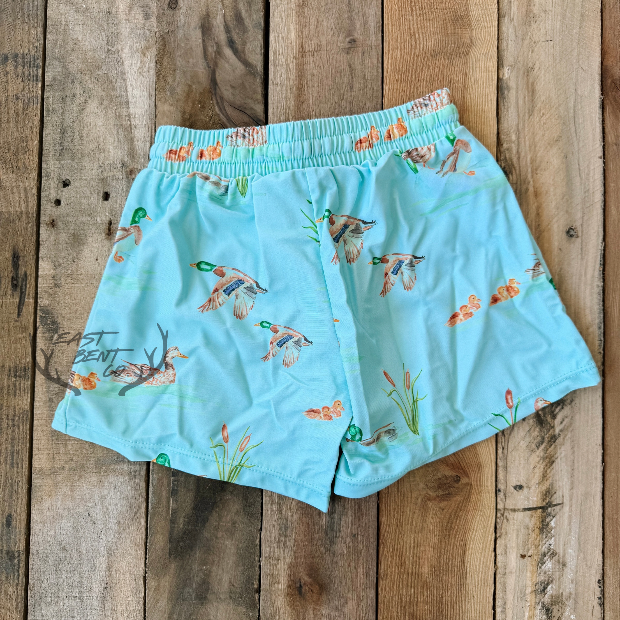 Vintage Watercolor Ducks Kids Swim Shorts
