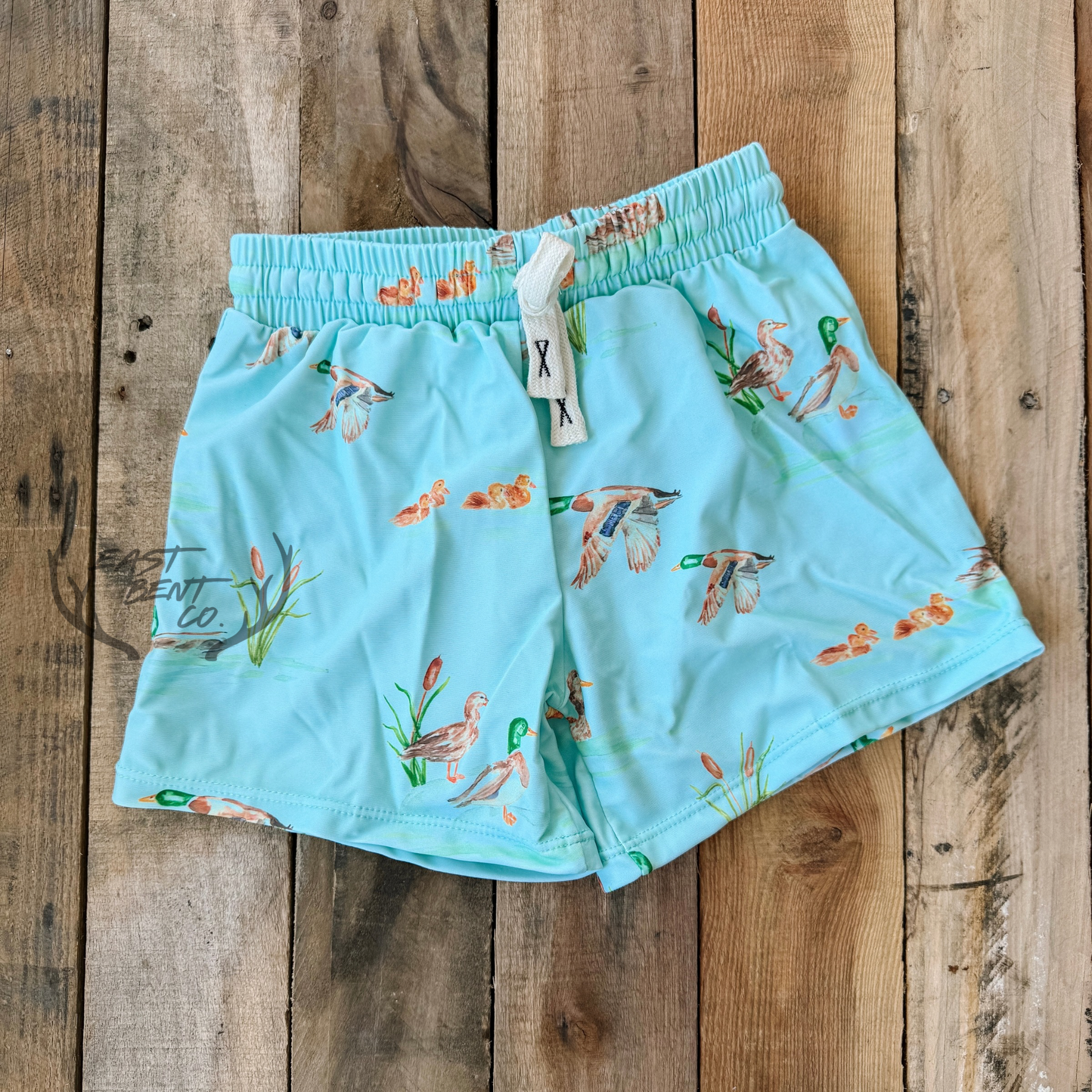 Vintage Watercolor Ducks Kids Swim Shorts